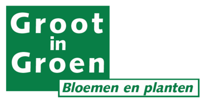 Groot in Groen