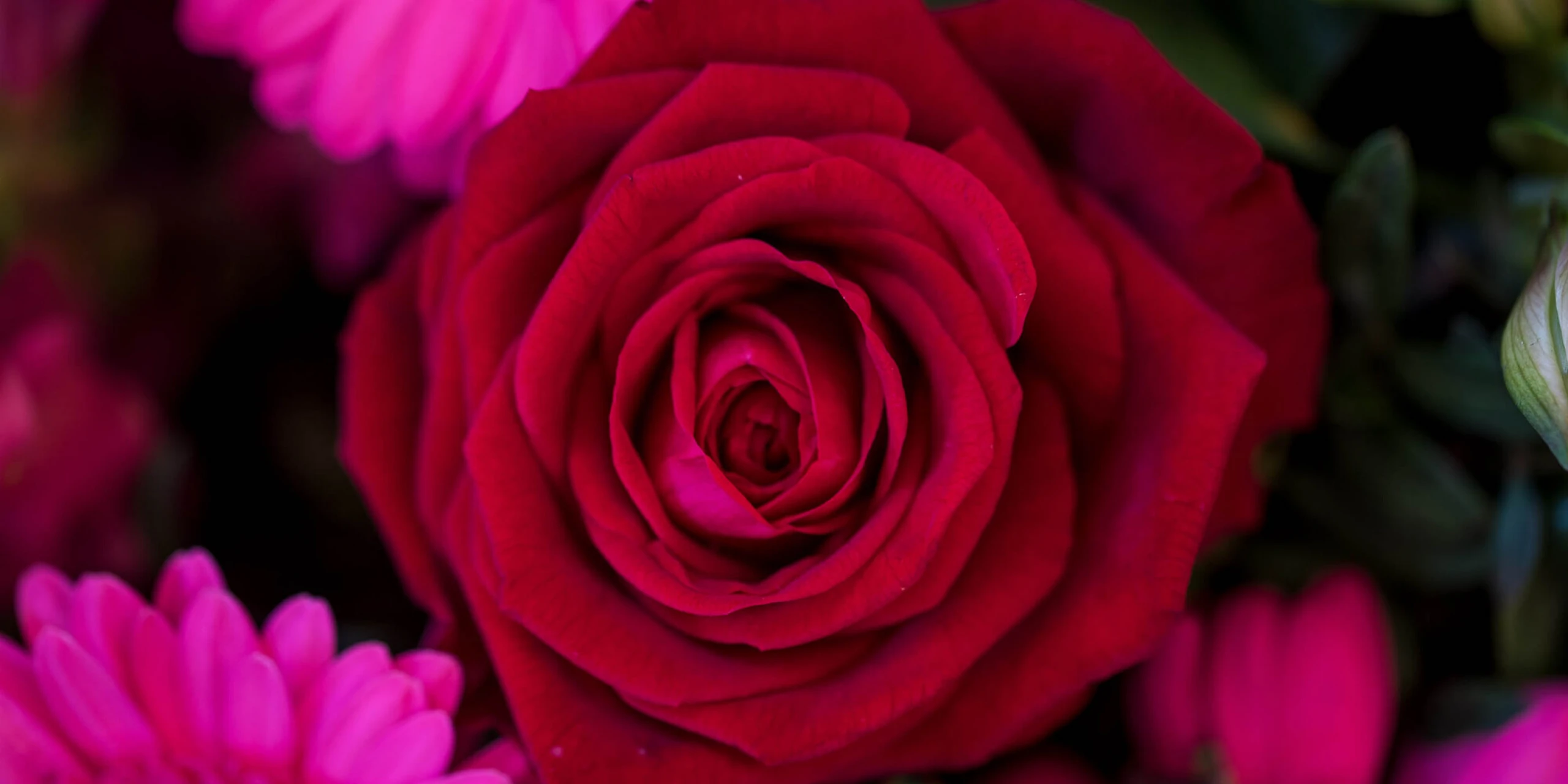 Bruidsbloemen
