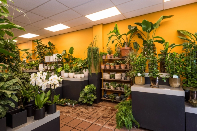 Planten